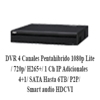 DVR4P